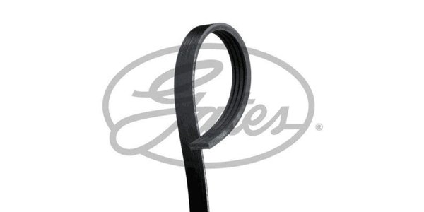 4PK1210 Belts - Belt