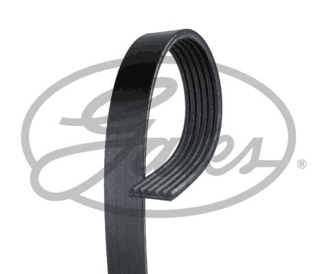 6PK893 Gates Micro V Belt Nissan 6PK893 – fits Citroen C4
