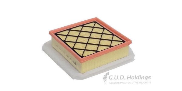AG1571 GUD Panel Air Filter AG1571