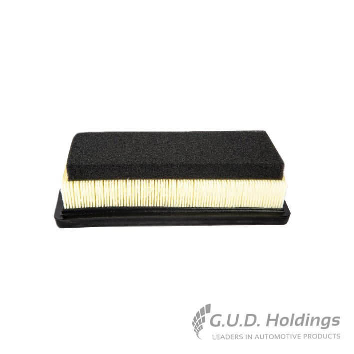AG1798 GUD Panel Air Filter AG1798