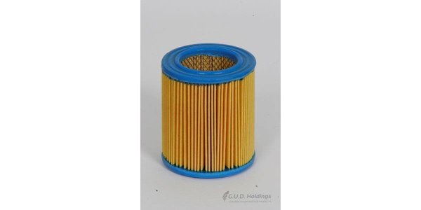 AG333P CA15 Air Filter AG333P