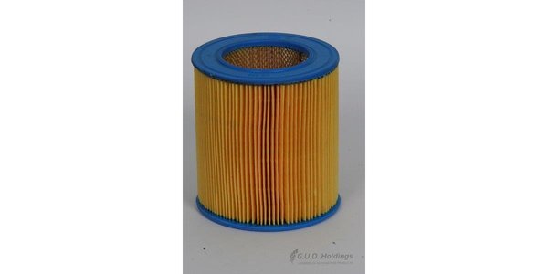 AG598 Air Filter AG598 – fits Chevrolet Commodore