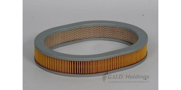 AG667 Air Filter AG667 – fits Nissan Pulsar