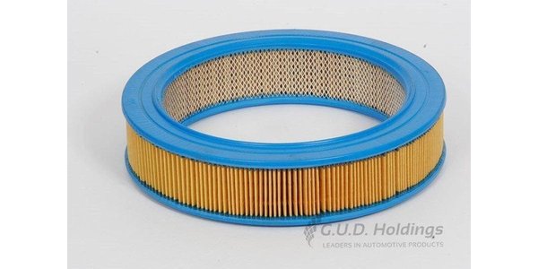 AG736 CA4732 Air Filter AG736 – fits Mitsubishi Tredia