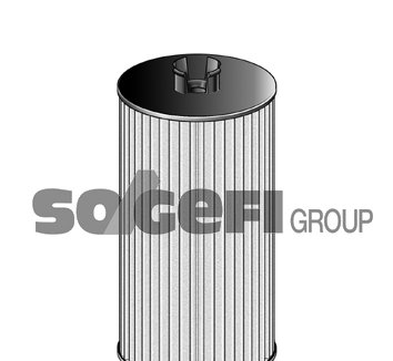 C10313 FRAM Diesel Filter Cartridge C10313 – fits Mazda Man