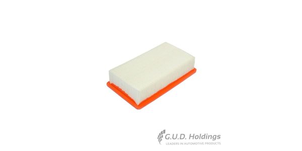 CA10124 FRAM Air Filter Panel CA10124 – fits Tata Indica