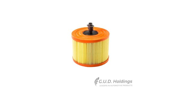 CA10239 Filters - AIR FILTER