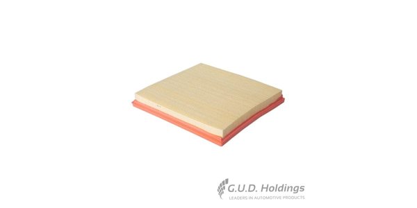 CA10879 FRAM Panel Air Filter CA10879 – fits Chevrolet Cruze