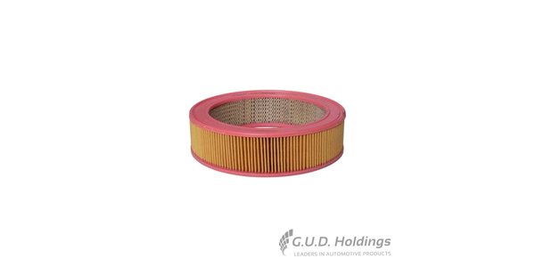 CA2646 FRAM A Filter BMC 11-1300 CA2646