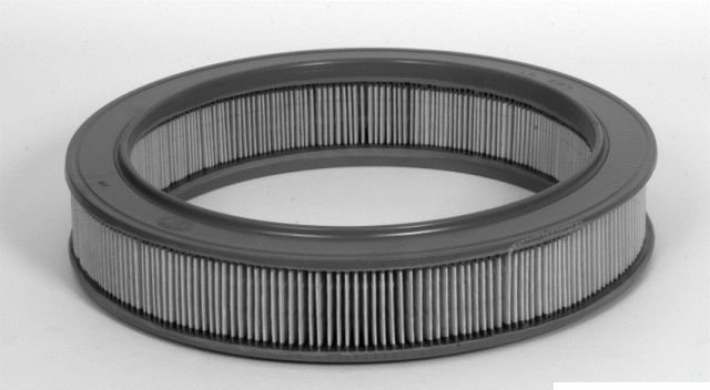 CA2733 PIA Opel 2LT A/Filter CA2733