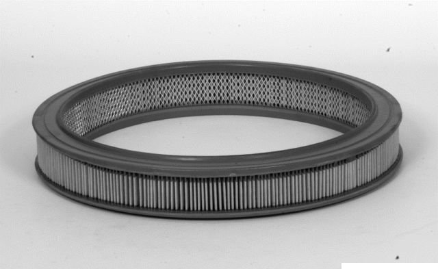 CA3425 FRAM Air Filter CA3425 – fits Ford Escort