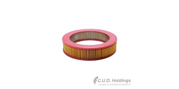 CA353 FRAM Air Filter Dat LDV CA353 – fits Nissan 120Y