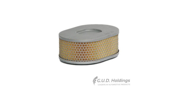 CA5415 FRAM Air Filter VW 2.1 CA5415