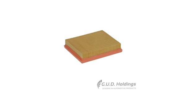 CA8674 FRAM Air Filter CA8674 – fits Peugeot 206
