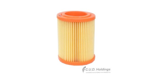 CA9493 FRAM Air Filter Plastic CA9493 – fits Honda Fr-v