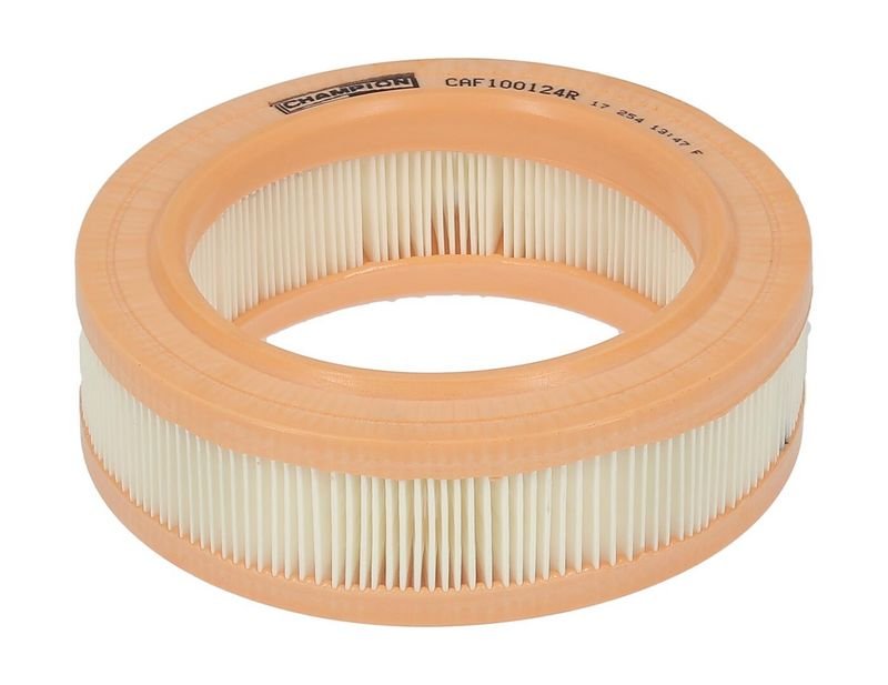 CAF100124R Filters - AIR FILTER