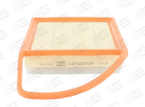CAF100916P Filters - AIR FILTER