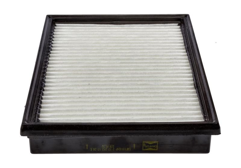 CAF101024P Filters - AIR FILTER