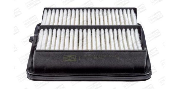 CAF101051P Filters - AIR FILTER