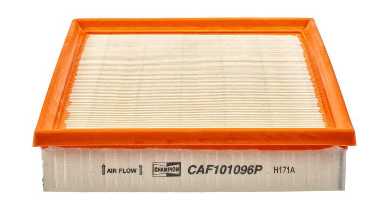 CAF101096P Filters - AIR FILTER