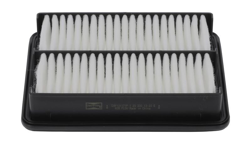 CAF101171P Filters - AIR FILTER