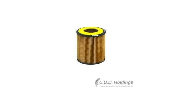 CH10075ECO FRAM Cartridge Oil Filter CH10075ECO – fits BMW