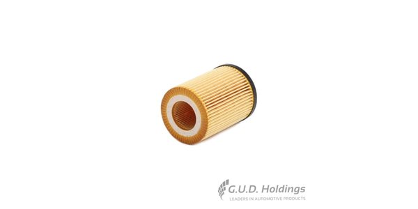 CH9955ECO FRAM Cartridge Oil Filter CH9955ECO – fits BMW X5
