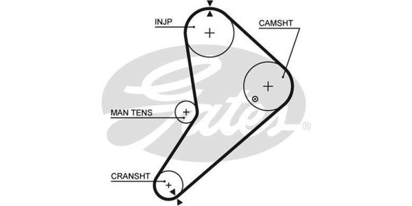 FOR123FSD Timing Belt FOR123FSD – fits Ford Cortina