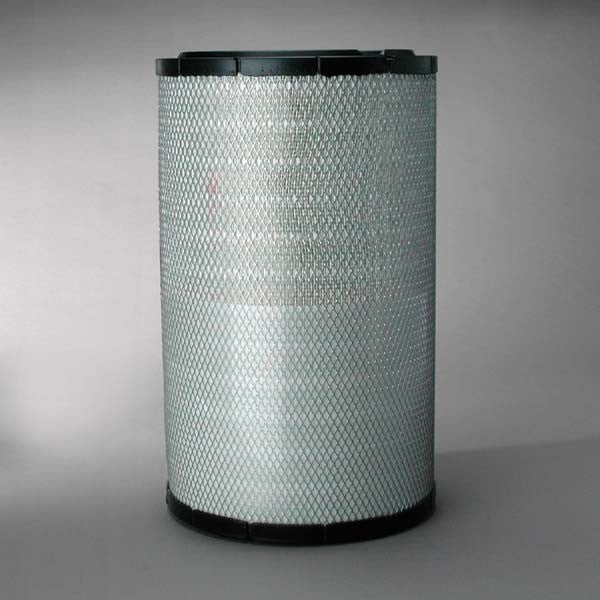 P777868 Donaldson Primary Filter Assembly P777868