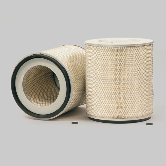 P920299 Donaldson Primary Filter Assembly P920299