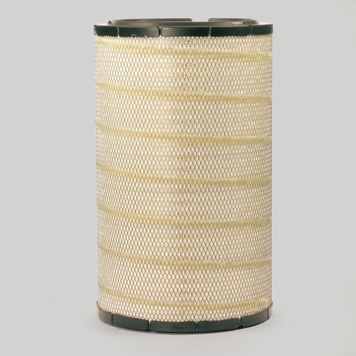 P922431 Donaldson Primary Filter Assembly P922431