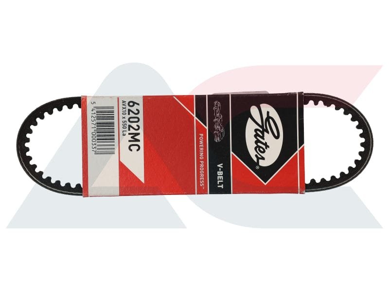 PG202 PIA Timing Belt Audi P/Steer PG202 – fits Audi A4