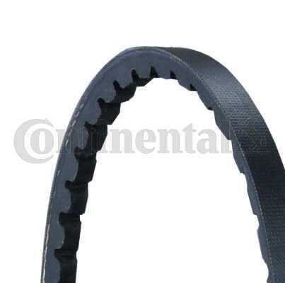 PG239 Belts - BELT