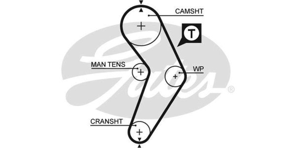 REN095-17 Cam Belt REN095-17