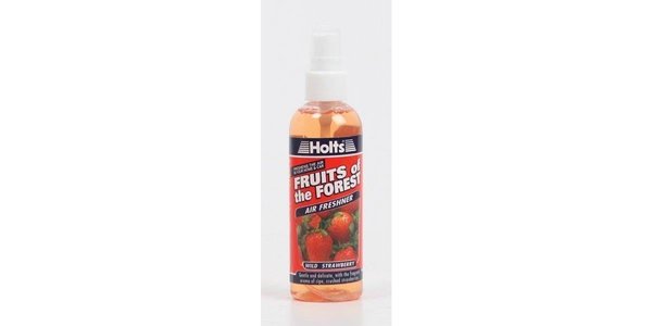 SFF5 Holts F/F Strawberry 100ml SFF5
