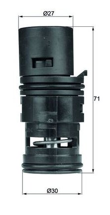 TO780 Mahle Thermo BMW E46 Petro TO780 – fits BMW 318i